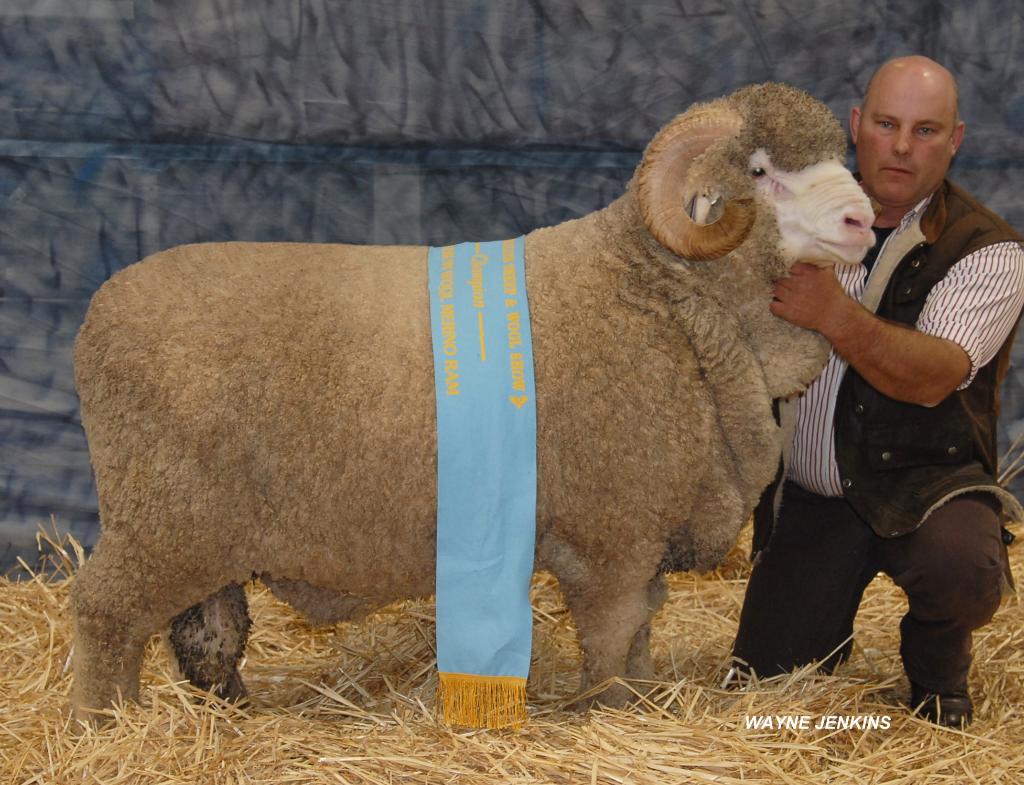 2014 Bendigo Sheep N Wool 217 RET
