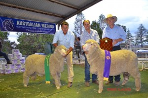 Chris Clonan with the Reserve and Jock McLaren holding N191, the 2014 Ultimate Ram of the NEMFD with sponser Steve Hylands from Bayer Animal Health.