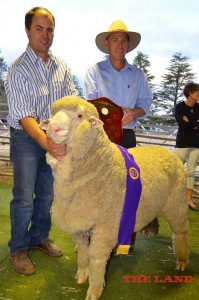 Jock holding  N191 after winning NEMFD Ultimate Ram over 36 other entries. He is pictured here with sponser Steve Hylands from Bayer Animal Health.